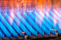 Edlington gas fired boilers